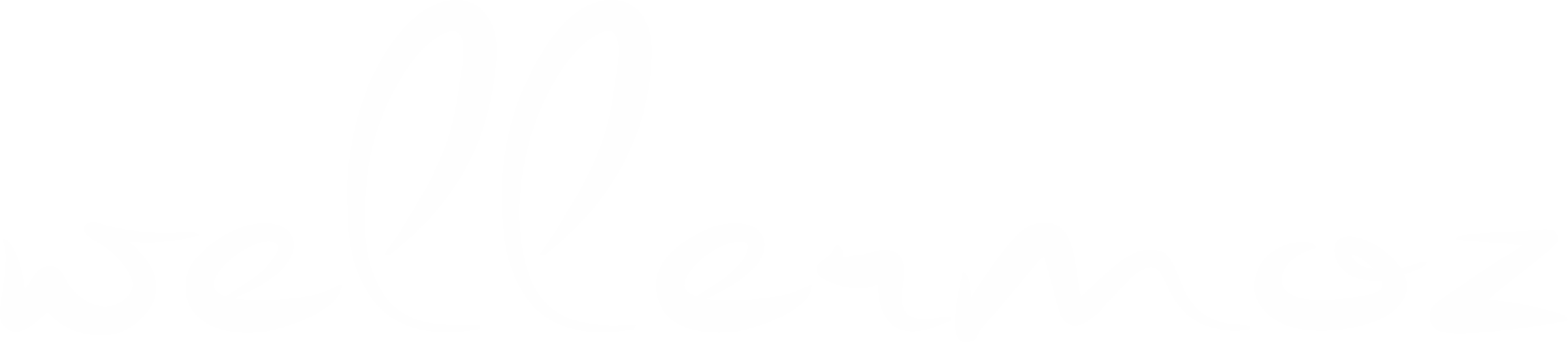 Wellermoz.store